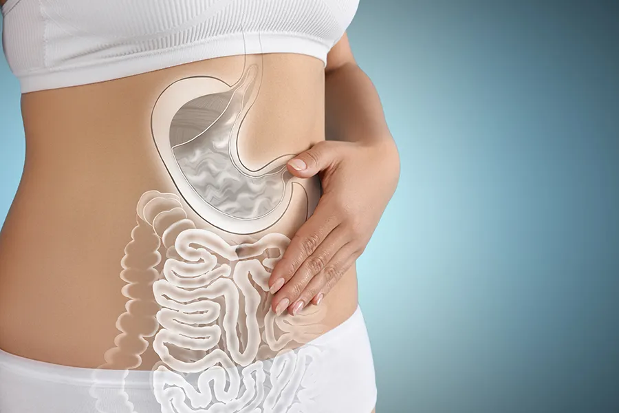 Close up of the midriff of a woman with white underwear and an illustration of the digestive system superimposed over the image. Get help for digestive issues and gut health from Allen Green, M.D. of Center for Optimum Health in Los Angeles.
