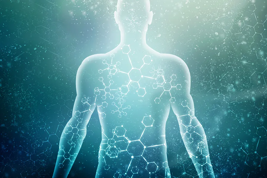 Illustration of a human body's cellular structure in green and blue tones. Get Mast Cell treatment from Allen Green, M.D. of Center for Optimum Health in Los Angeles.