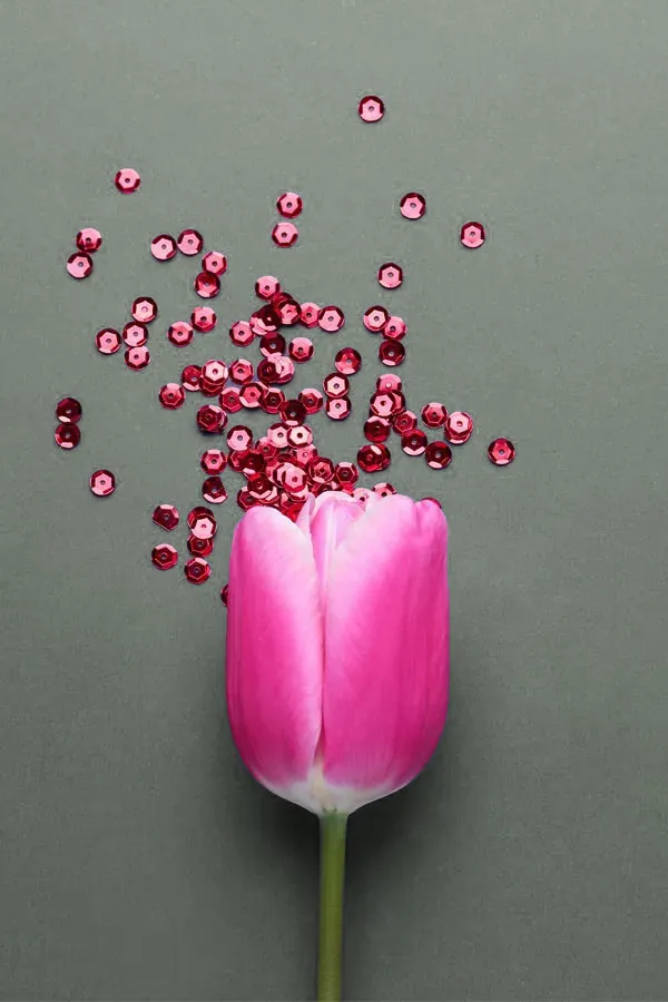 A paper pink rose on a gray background, crumbling into small pieces, representing Menstrual Dysfunction care for women from Allen Green, M.D. of Center for Optimum Health in Los Angeles.