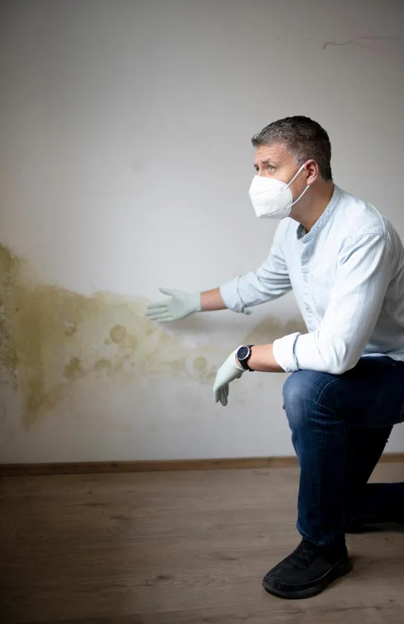 A professional in a protective mask indicates mold damage on a home's wall. Get treatment for Mold and Mycotoxin from Allen Green, M.D. of Center for Optimum Health in Los Angeles.