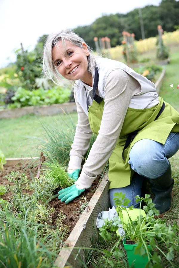 A mature woman bending down working on her garden happily after successful rheumatoid arthritis treatment from Allen Green, M.D. of Center for Optimum Health in Los Angeles.
